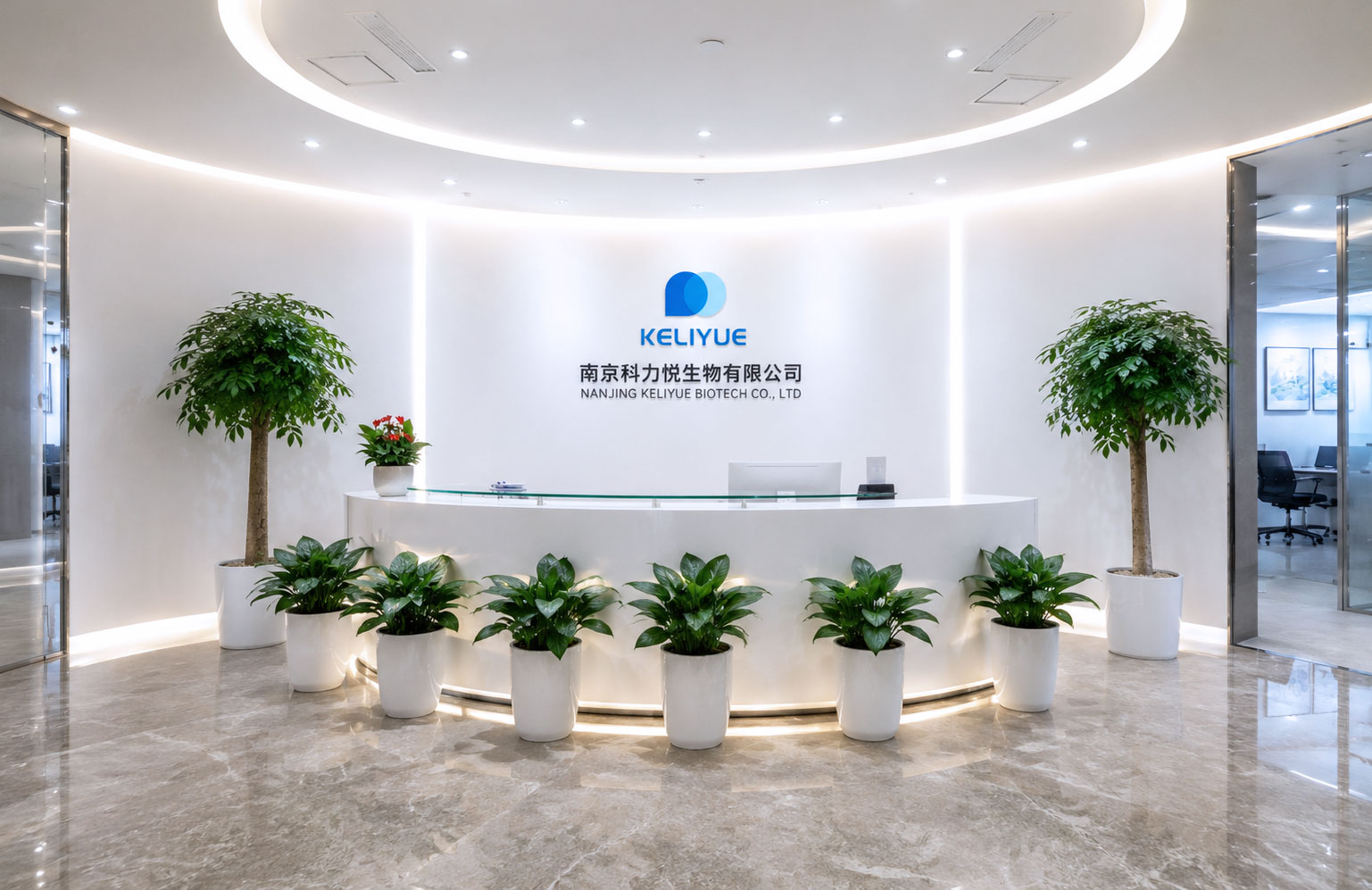 公司简介